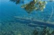 underwater.jpg - 