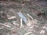 112_1239.jpg - 2005:04:26 13:51:40