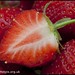 Berry English Photo 6