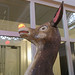 Rudolph May Photo 10