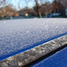 April Frost Photo 13